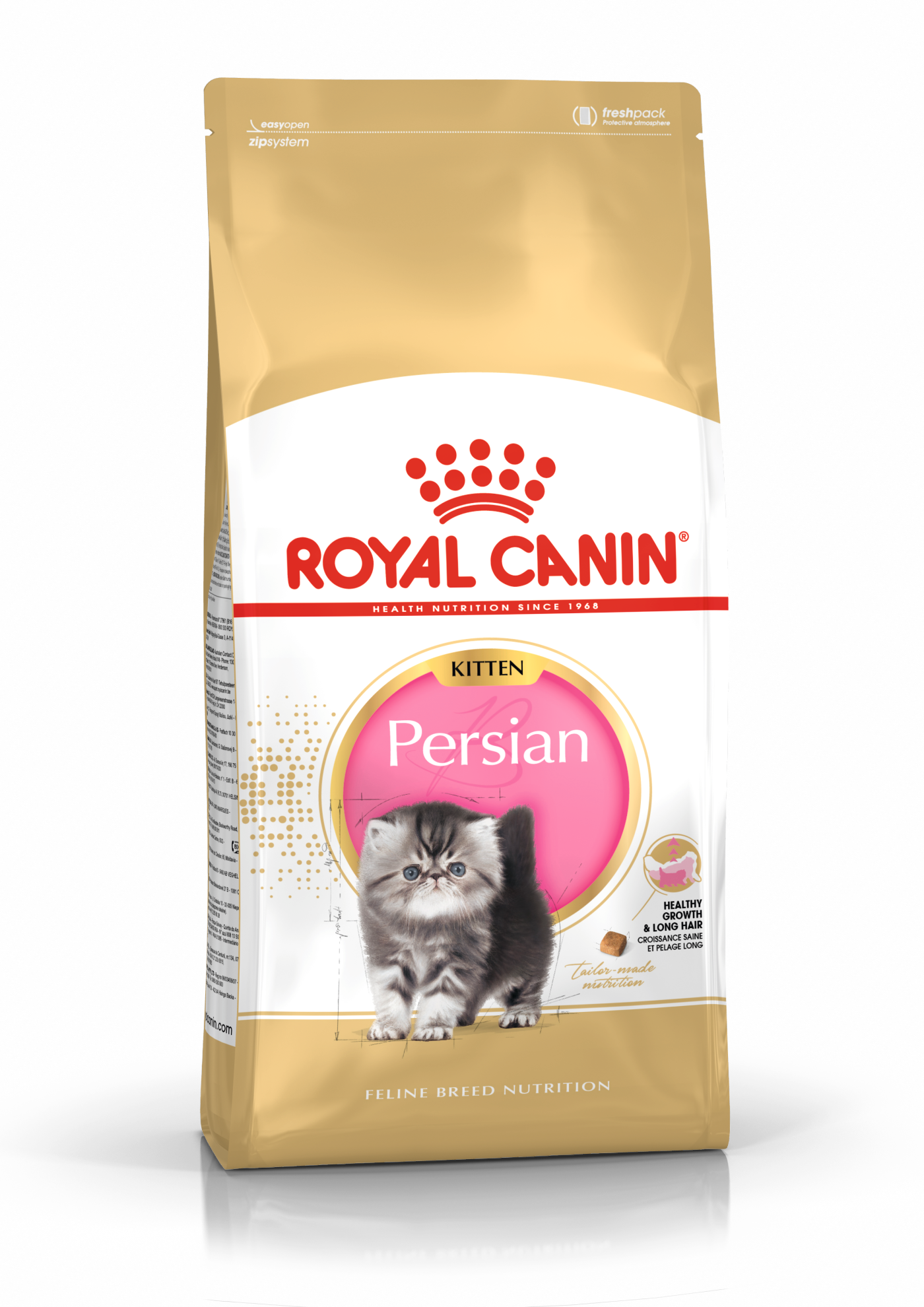 RC Persian Kitten, 2kg