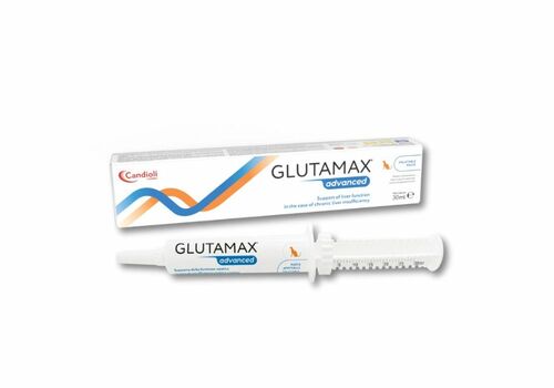 GlutaMax Advanced paste 30ml
