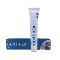 Dentihex (Dentisept) 20 g