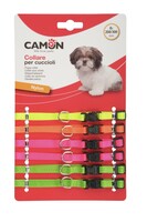 Collar set for puppies, 6pcs, DC0330