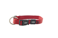 Buster collar dog