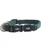Buster collar dog
