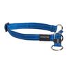 Buster collar dog