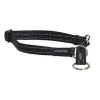 Buster collar dog