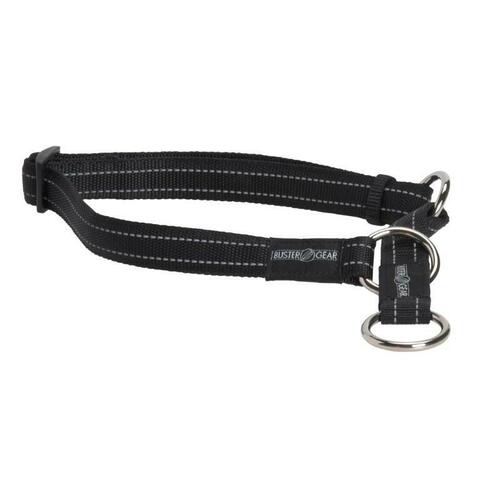 Buster collar dog