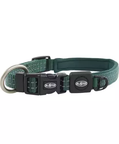 Buster collar dog