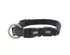 Buster collar dog