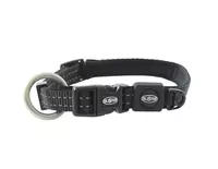 Buster collar dog