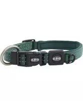 Buster collar dog