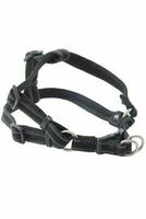 BUSTER chest harness XL black