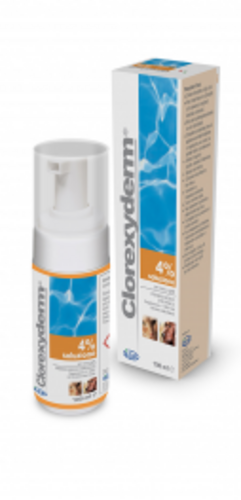 Clorexyderm Foam 4% - disinfecting foam for dogs and cats with chlorhexidine digluconate 100ml