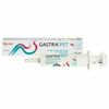Gastrik Pet pasta kuņģa aizsardzībai suņiem/kaķiem 30ml