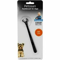 Pet toothbrush Toy dog up to 3kg