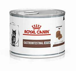 VHN Cat Gastrointestinal Kitten Can 195 g
