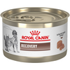 Royal Canin Dog&Cat VetDiet Recovery konservi suņiem/kaķiem 195g