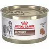 VHN Dog & Cat Recovery Can 195 g