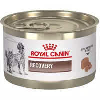 VHN Dog & Cat Recovery Can 195 g