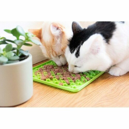 VETOPOP laying mat