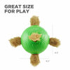 Nina Ottosson dog food puzzle