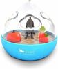 Interactive dog treat ball