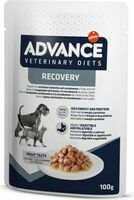 ADVANCE VETERINARY DIETS DOG & CAT RECOVERY 100gr - pilnvērtīga diētiskā barība, konservi suņiem un kaķiem atveseļošanas procesā