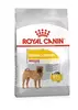 CCN MEDIUM DERMACOMFORT 12kg