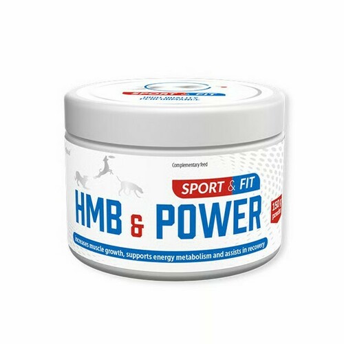 Hmb&Power muskuļu spēkam un izturībai 150g