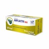 Amylactiv MAX N120