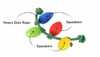Toy-Pet Play Holiday Lights