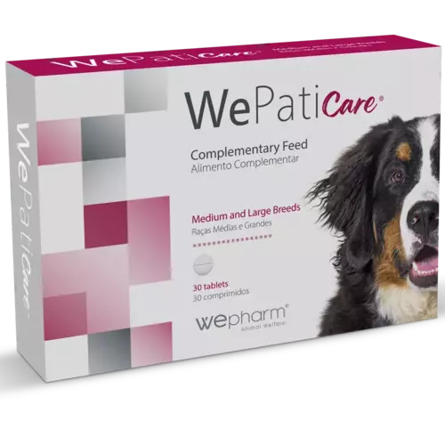 WePatic medium & large breed N30