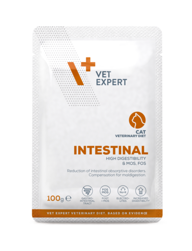 4T VD CAT INTESTINAL PAC 100G BEEF/CHICKEN