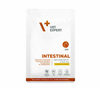 4T VD CAT INTESTINAL PAC 100G TURKEY/CHICKEN