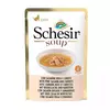 Schesir zupa ar lasi un burkāniem 85g