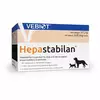 Hepastabilan N60