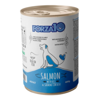 Forza10 Maintenance canned food for dogs with salmon and rice 6x400g