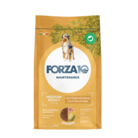 Forza10 Maintenance Medium Adult with potatoes 12kg