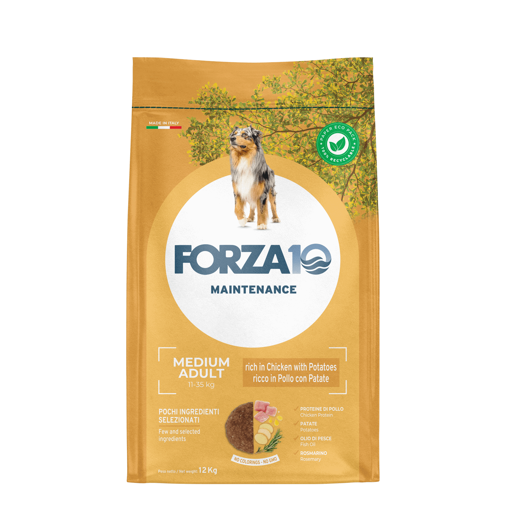 Forza10 Maintenance Medium Adult vistu un kartupeļiem 12kg