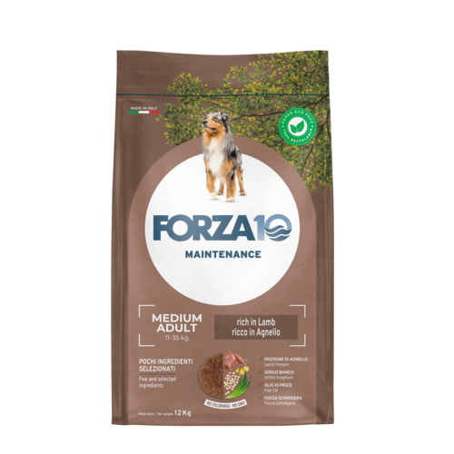 Forza10 Maintenance Medium Adult with lamb 12kg