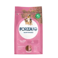 Forza10 Maintenance All Size Adult ar cūkgaļu 12kg