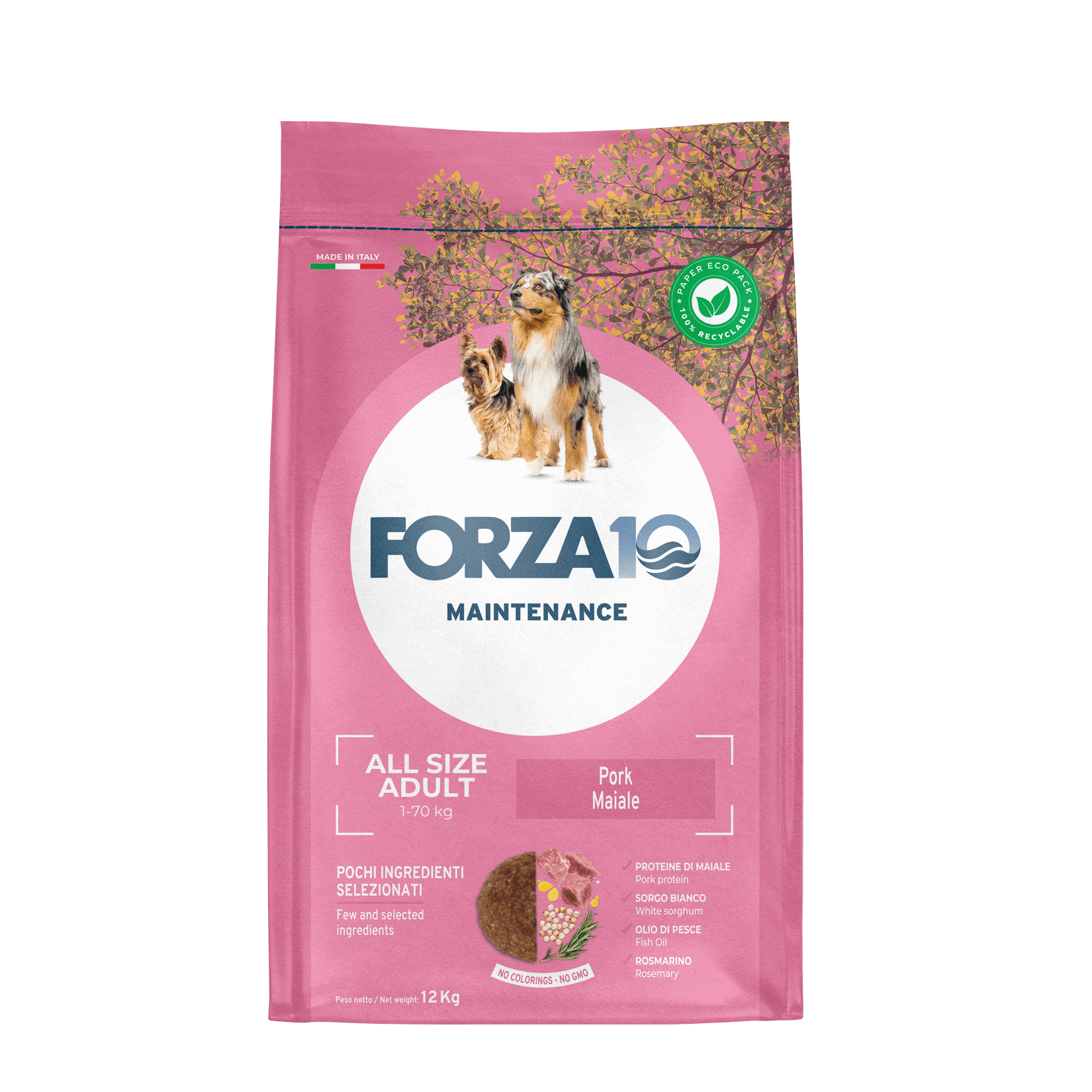 Forza10 Maintenance All Size Adult ar cūkgaļu 12kg