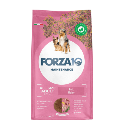 Forza10 Maintenance All Size Adult with pork 2kg