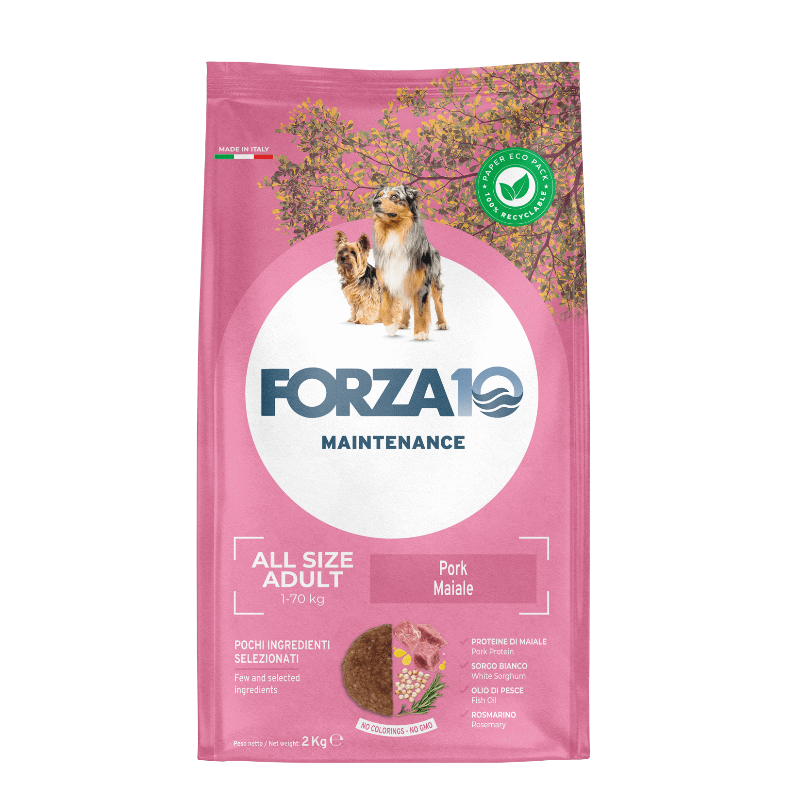 Forza10 Maintenance All Size Adult ar cūkgaļu 2kg