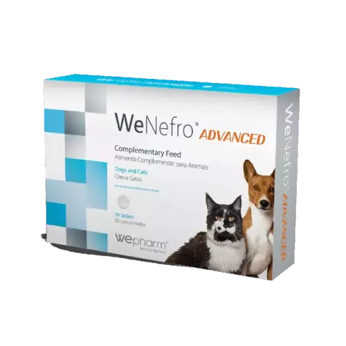 WeNefro Advanced N30