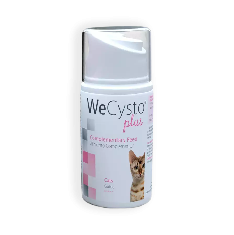 WeCysto Plus gēls 50ml