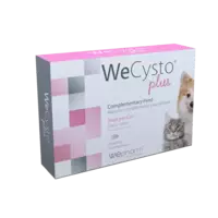 WeCysto Plus tabletes N30