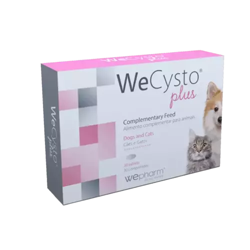 WeCysto Plus tablets N30