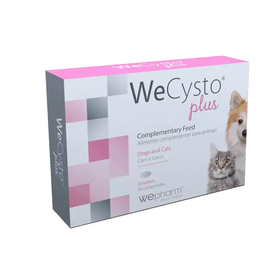 WeCysto Plus tabletes N30