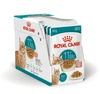 FHN C Ageing  11+ Gravy 12x85 g