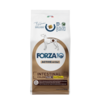 Forza10 Active VetDiet Intestinal Colon PHASE 1 with lamb and sorghum 10kg