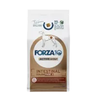 Forza10 Active VetDiet Intestinal Colon FASE 2 ar zivīm 4kg